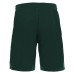 MESA HERO SHORTS BGRN